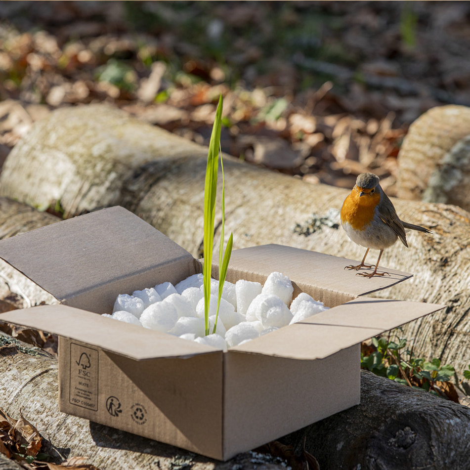 Te ofrecemos la alternativa al plástico con nuestro catálogo de productos ecológicos y sostenibles